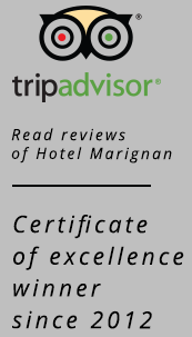 TripAdvisor Icon